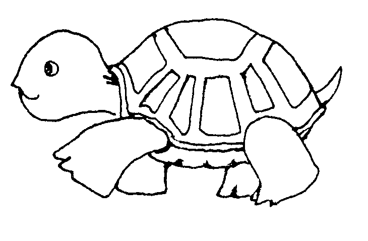 Turtle Clipart Black And White | Clipart Panda - Free Clipart Images