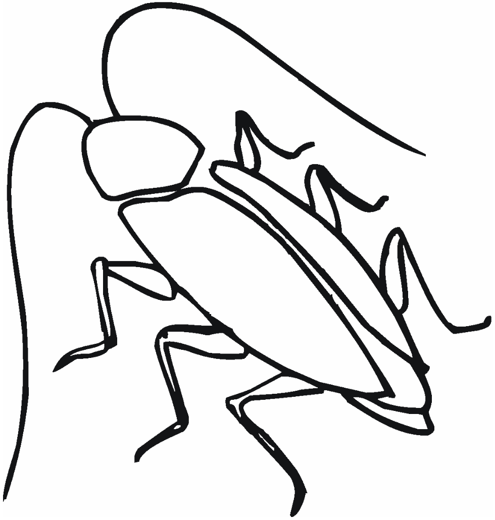Welcome: Art Line Drawing ~ Cockroach
