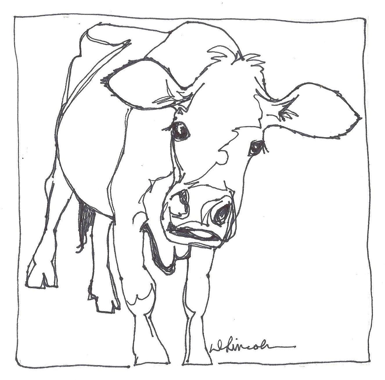 Images For > Milk Cow Drawing