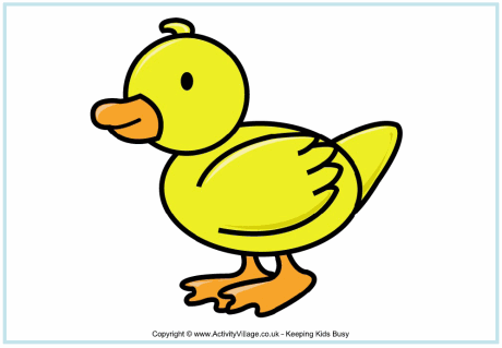 Duck Poster For Kids