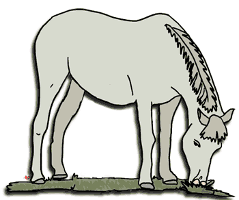 Pony 20clipart | Clipart Panda - Free Clipart Images