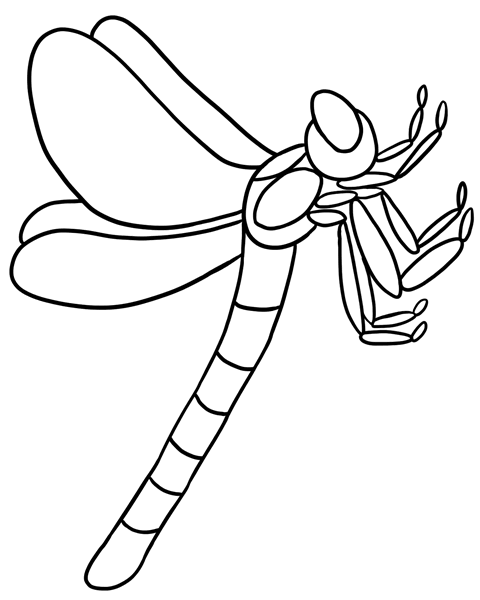 Pix For > Cute Dragonfly Outline