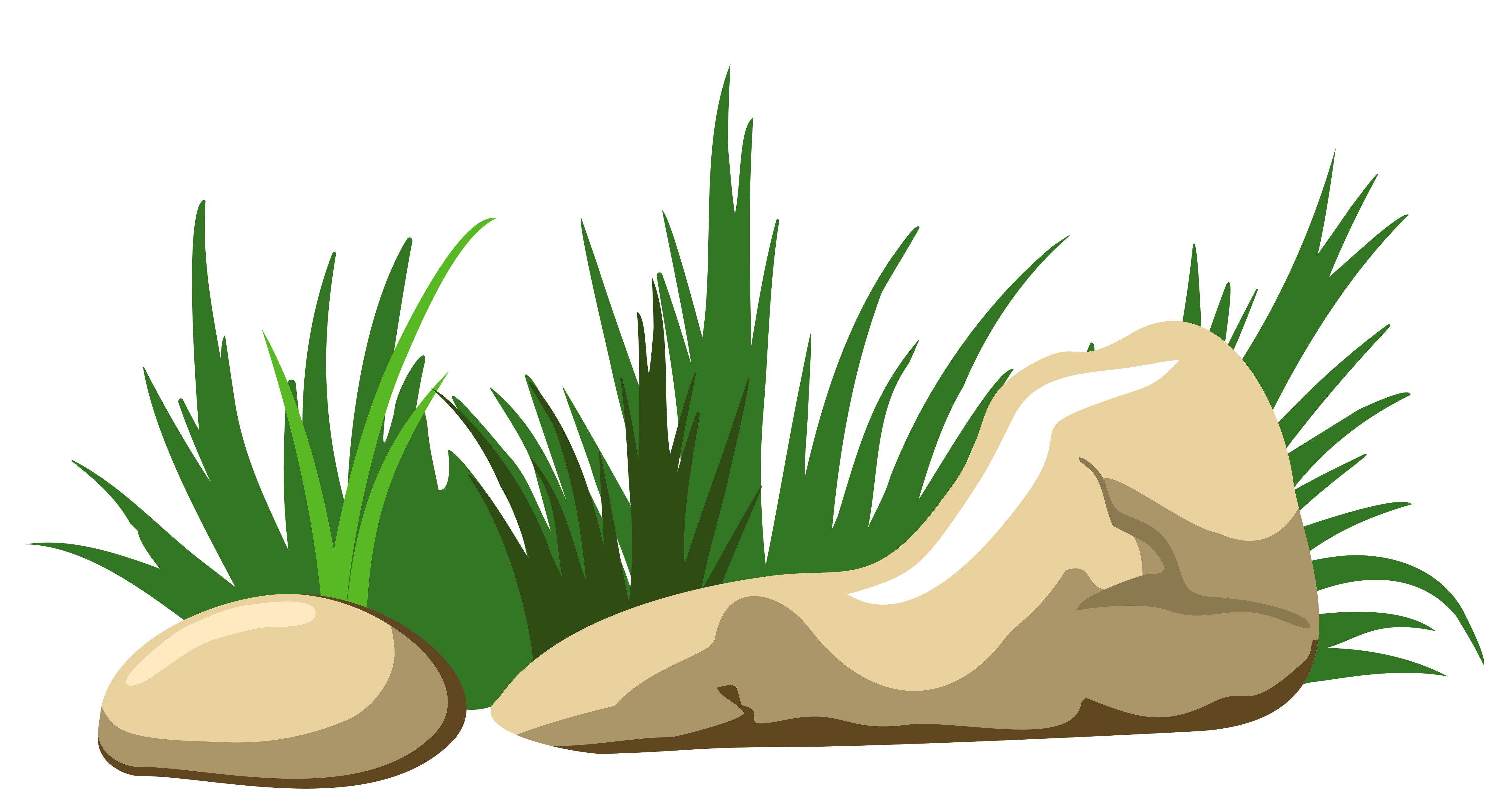 png clipart grass - photo #43