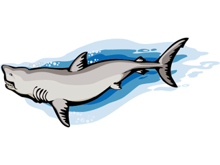 Sharks Graphics and Animated Gifs