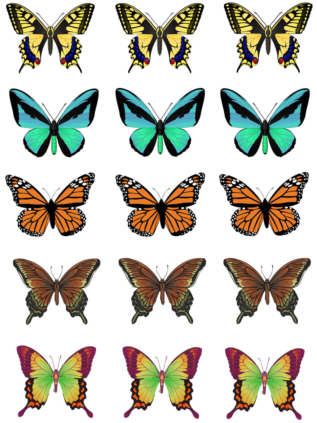 Butterfly Art Images - ClipArt Best
