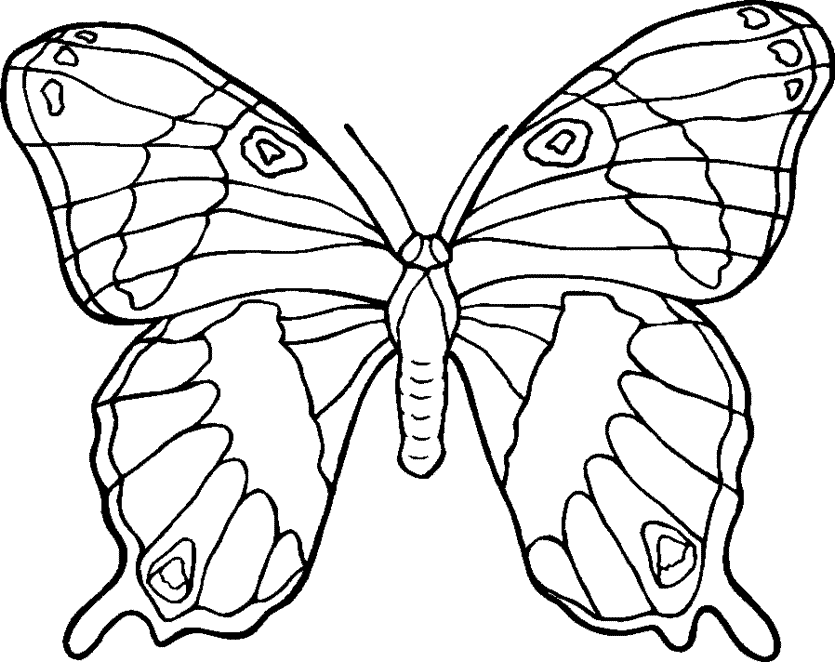 Global Art: coloring pages of butterflies and
