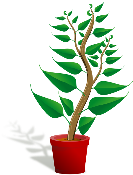 Tall Plant In Pot clip art - vector clip art online, royalty free ...