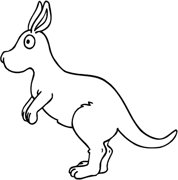 Baby Kangaroo Coloring Pages for Kids | Coloring