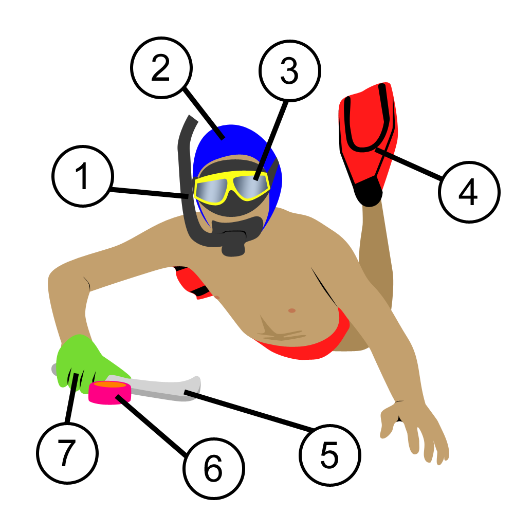 Underwater hockey - Wikipedia, the free encyclopedia