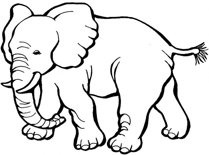 Drawing Of Elephant - ClipArt Best