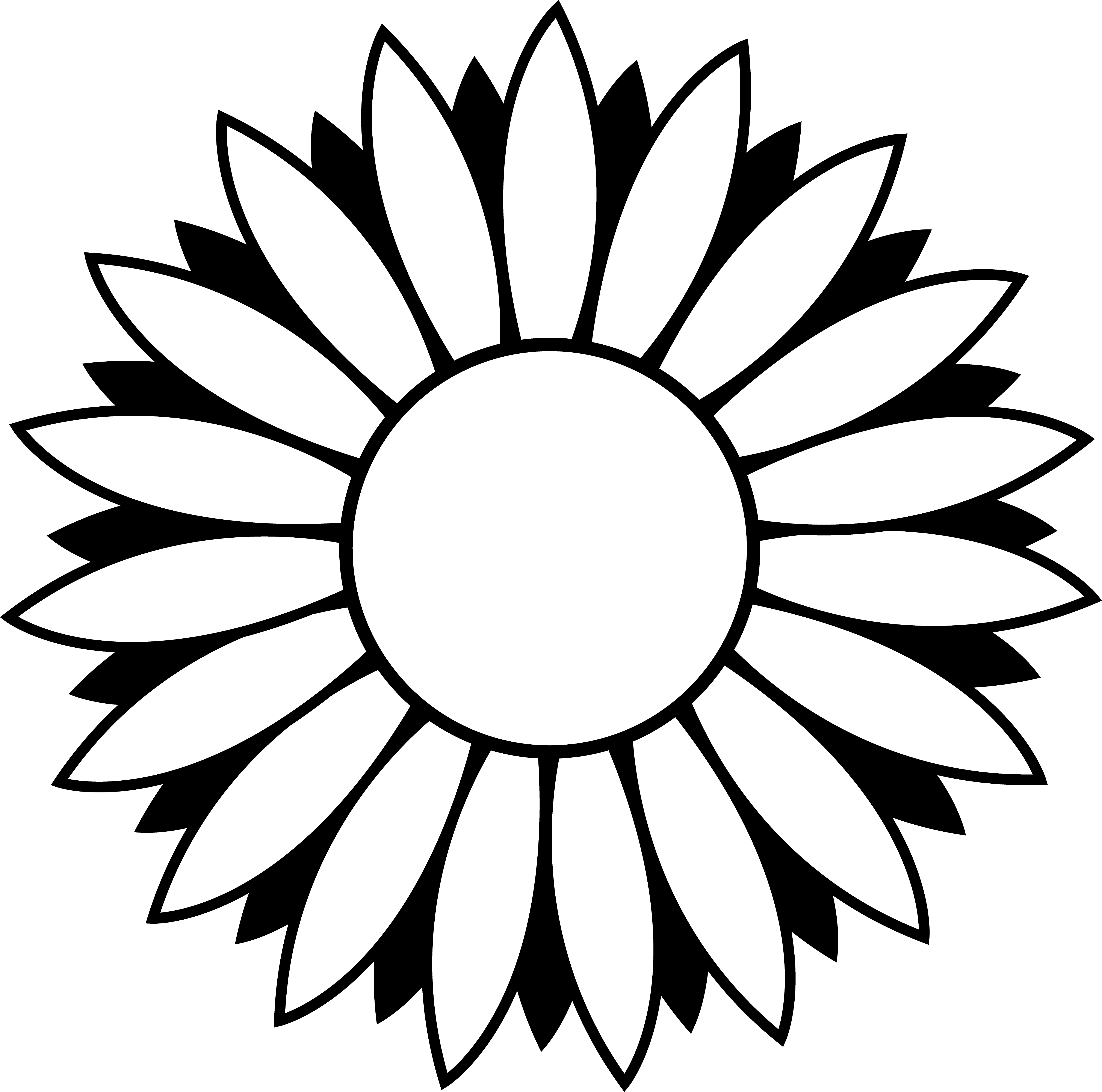 Black And White Sunflower Photography | Clipart Panda - Free ...