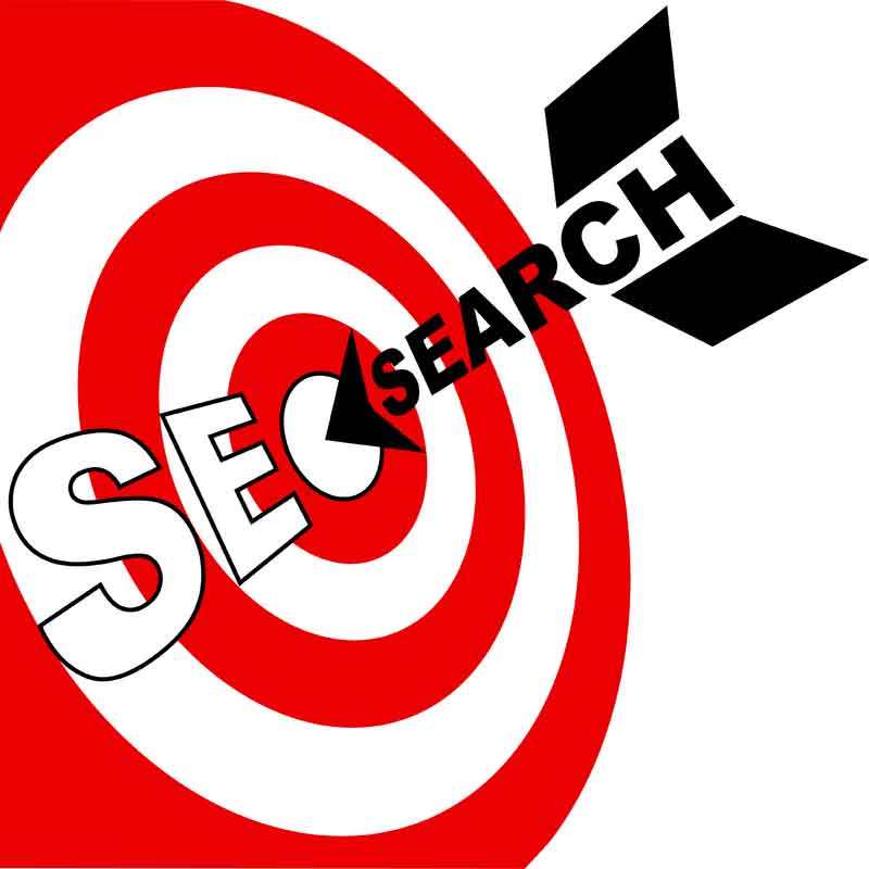 SEO Optimization is Synonymous to Internet Success.