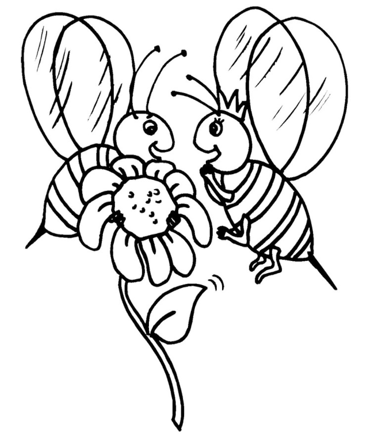 Bee And Sunflower Coloring Pages - Animal Coloring Coloring Pages ...