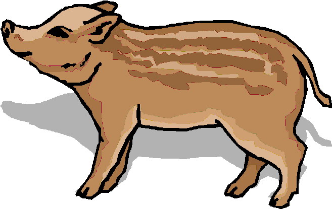 wild pig clip art free - photo #11