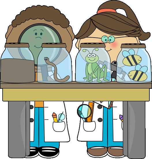 Kid scientists examining bugs. | Science Clip Art | Pinterest