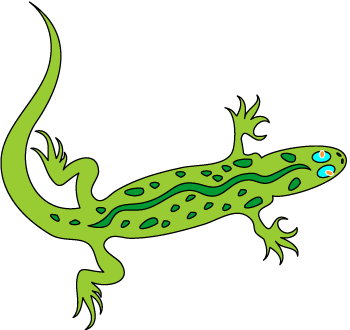 Tropical Green Gecko Lizard Clip Art