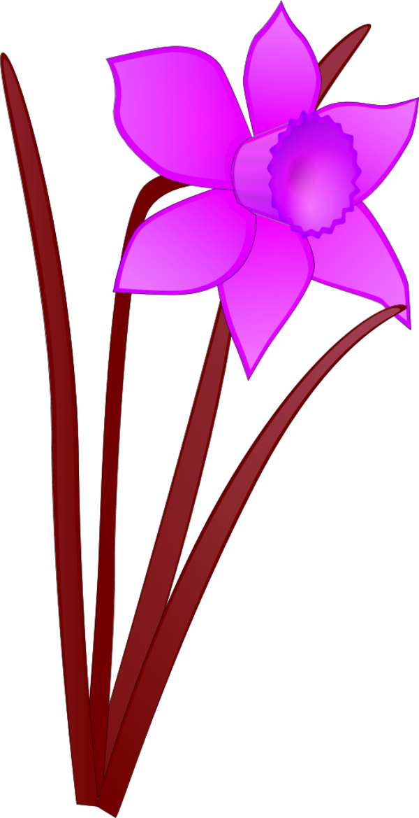 Daffodil flower - vector Clip Art