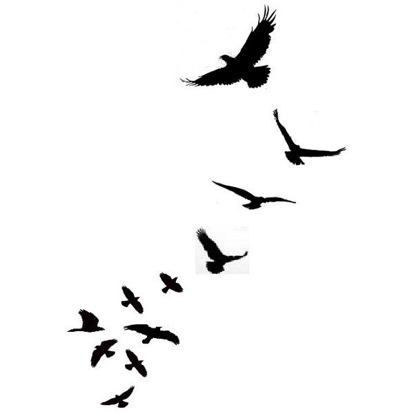 Tattoo on Pinterest | Bird Silhouette, Swallows and Bird Tattoos