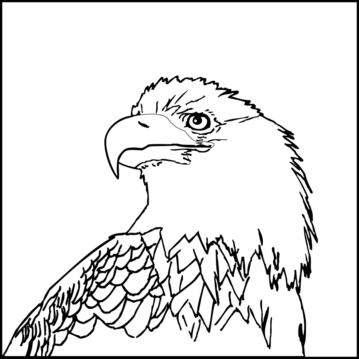 Printable Eagle Outline Printable Blank World