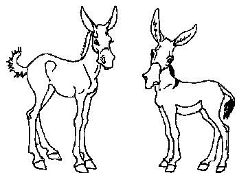 Shady Donkey Clipart Collections