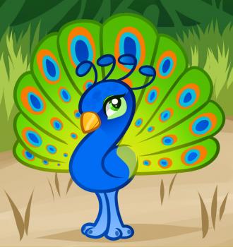 Animals - How to Draw a Peacock for Kids