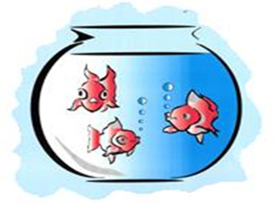 Fish Bowl Template Clipart - Free Clip Art Images