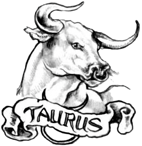 Taurus Simple Bull Tattoo Design For Men | Tattooshunt.com