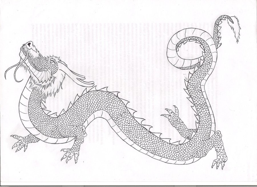Chinese Dragon Pictures To Draw Gallery