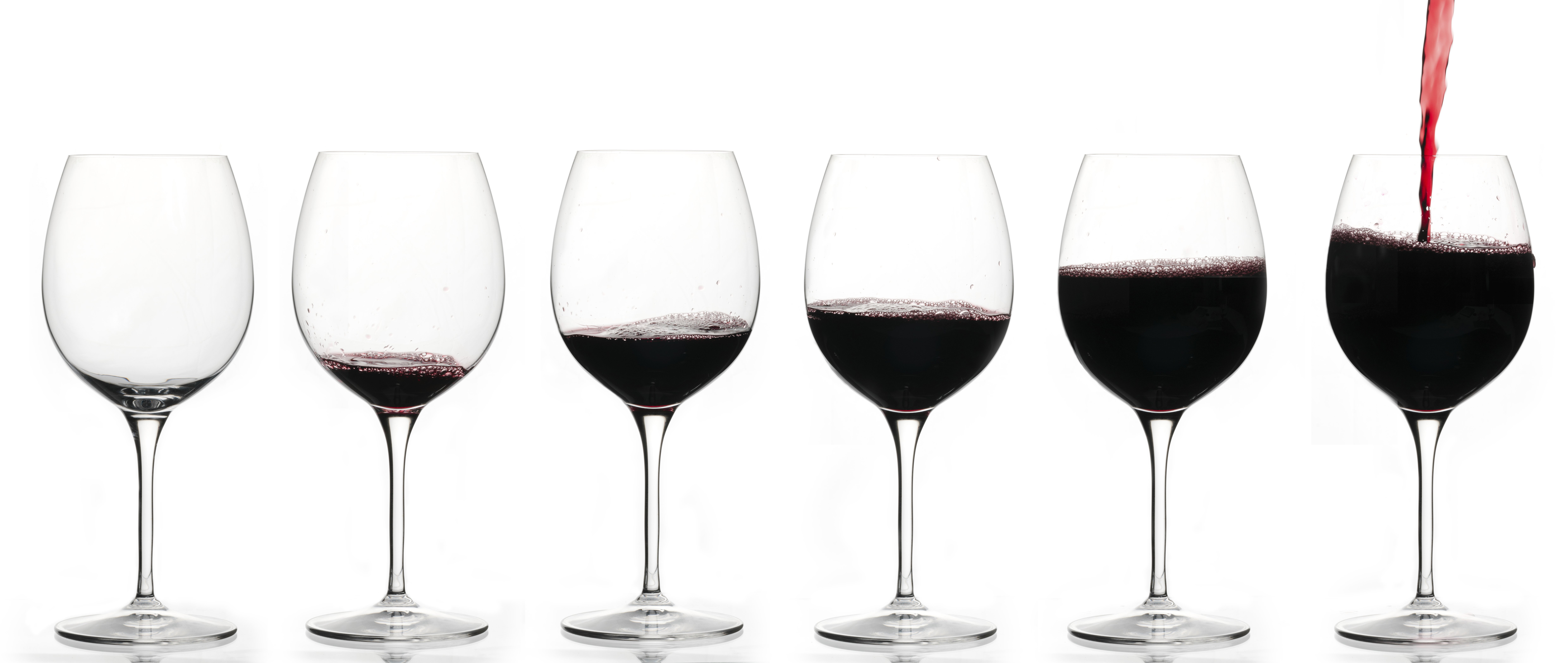 Blog - Championing the Art of Serving Wine