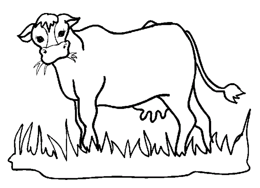 Coloring-Page-of-a-Cow | Free coloring pages for kids