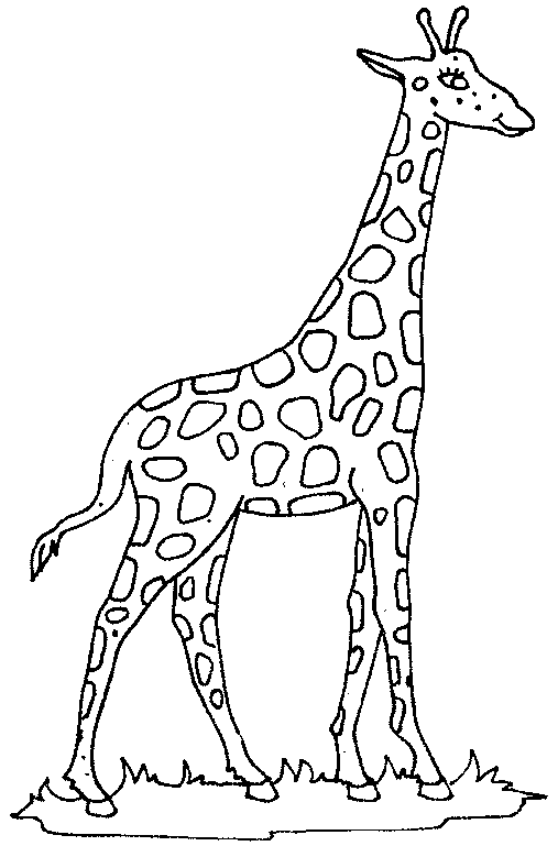 Coloring giraffe picture | Giraffe | Pinterest