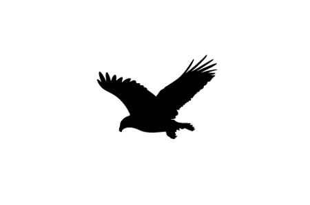 Eagle Vector - Cliparts.co