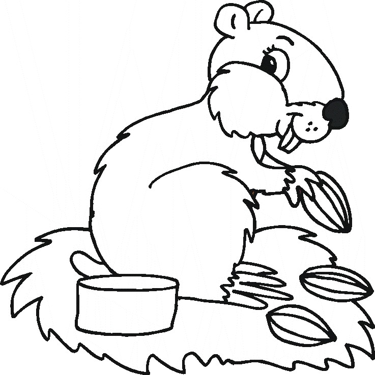 colorwithfun.com - Squirrel Printable Coloring Pages For Kids