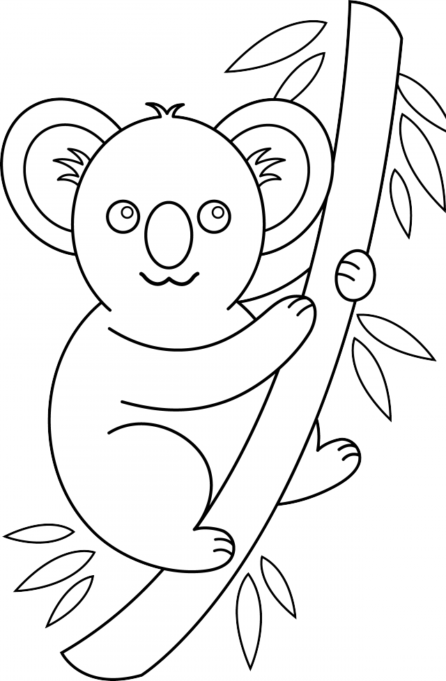 Koala Outline Colouring Pages Id 98897 Uncategorized Yoand 278839 ...