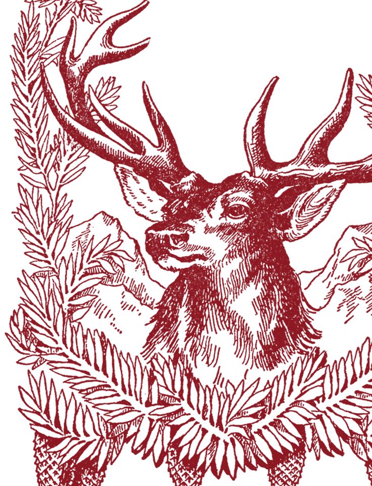 Free Vintage Christmas Pictures - Deer