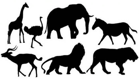 African Animals | Free Vector Download - Graphics,Material,EPS,Ai ...