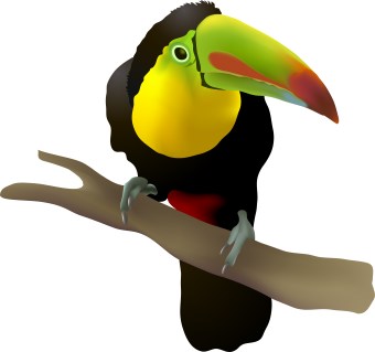 Colorful Toucan Bird clip art - ClipArt Best - ClipArt Best