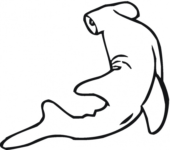 Coloring Pages: hammerhead shark coloring pages Hammerhead Shark ...