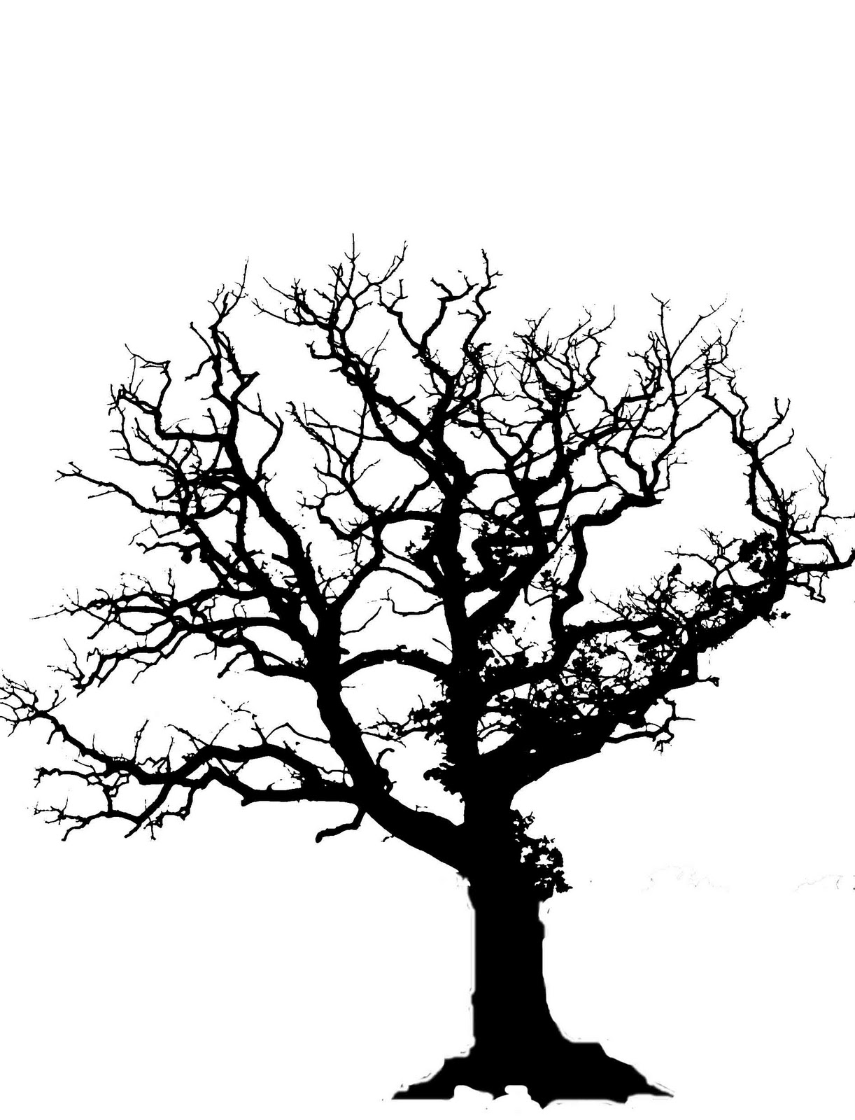 Images For > Tree Branch Silhouette Simple