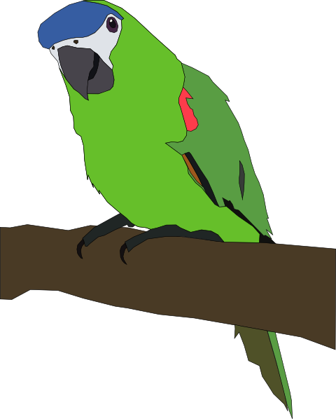 Cute Parrot Drawing | Clipart Panda - Free Clipart Images