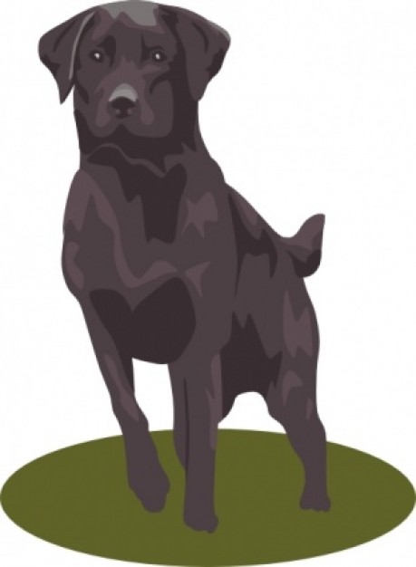 Labrador Retriever (black) clip art Vector | Free Download