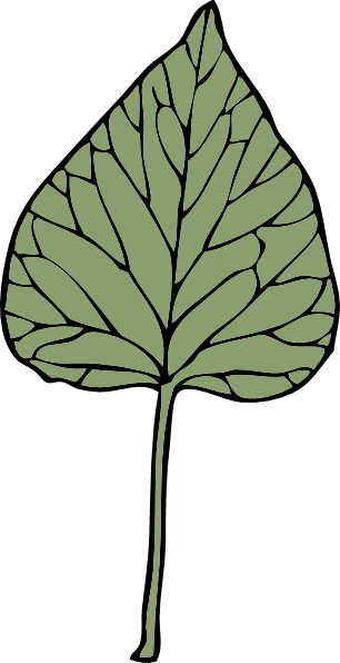 Ivy Leaf clip art Free Vector / 4Vector