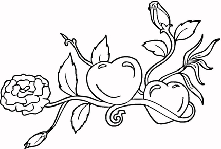 hearts and roses drawings - Домашние растения. Цветы.