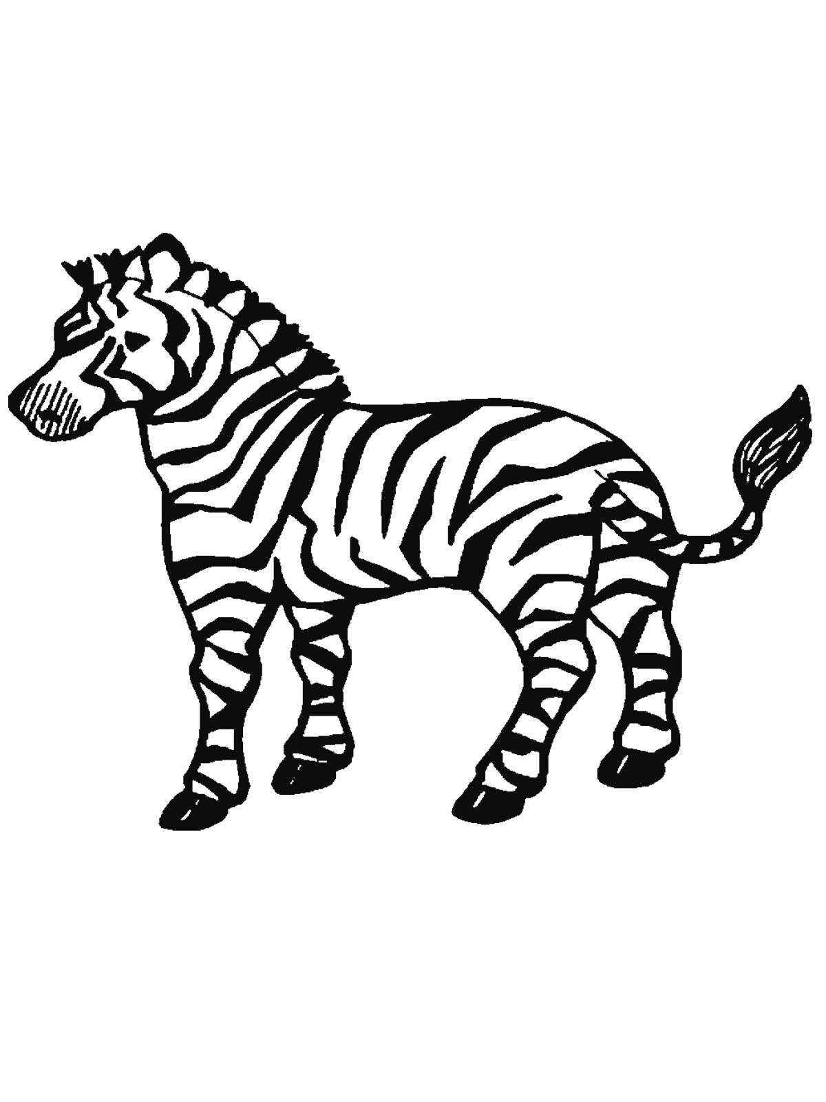 Zebra Coloring Pages To Print | Realistic Coloring Pages