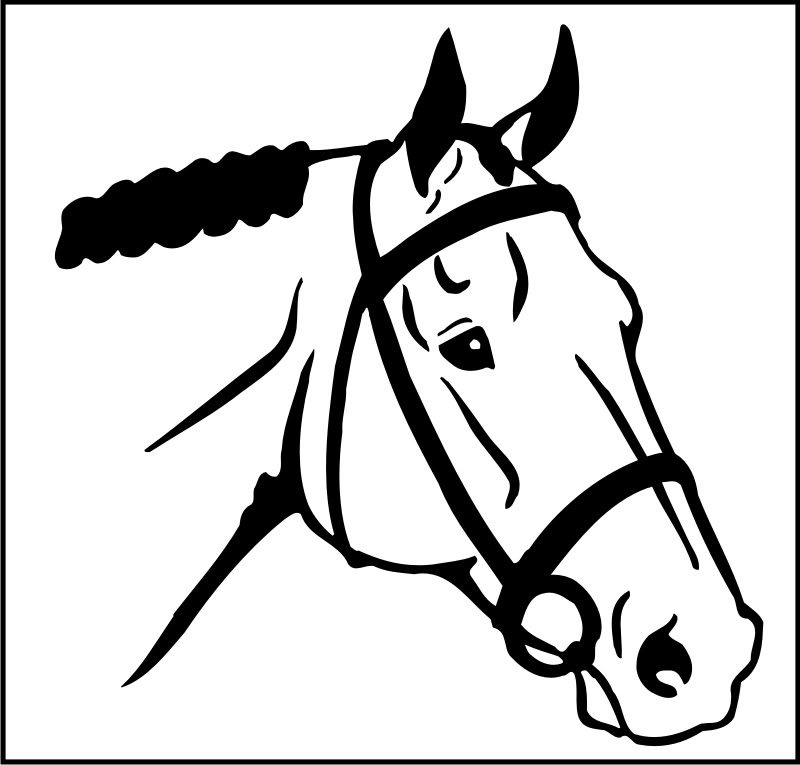 Horse Head Graphics