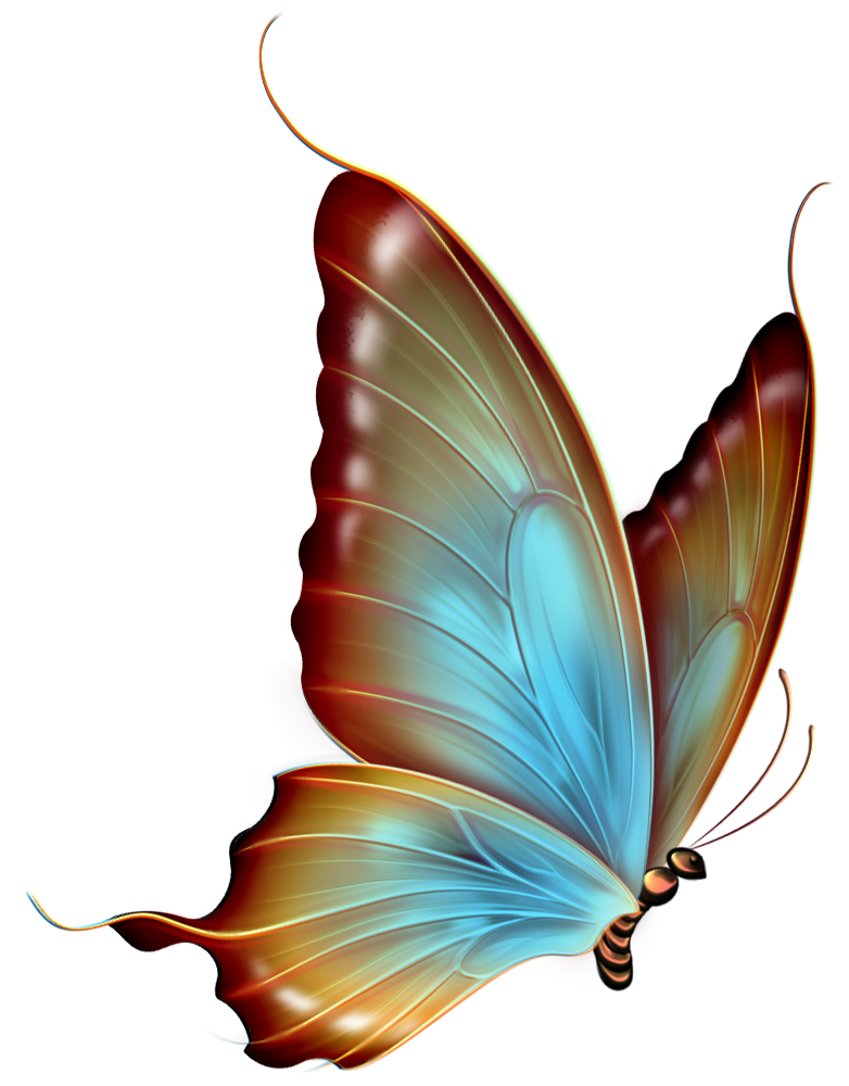 free clip art butterfly pictures - photo #48