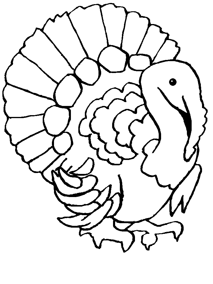 Turkey Line Drawing