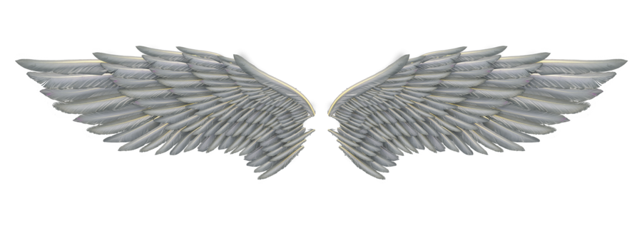 angel wings 01 by Marioara08 on DeviantArt