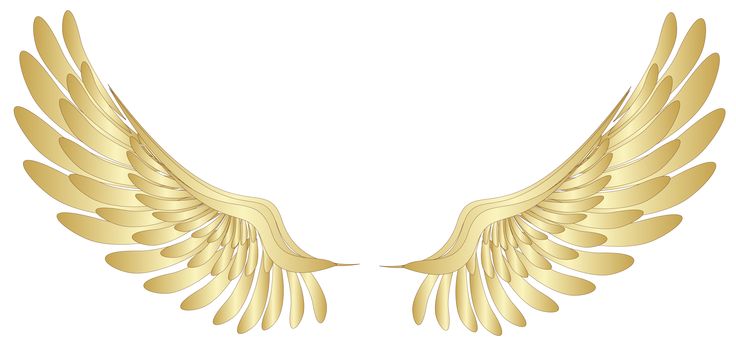 Golden Wings Декор PNG Аватар Клипарт | Angels | Pinterest
