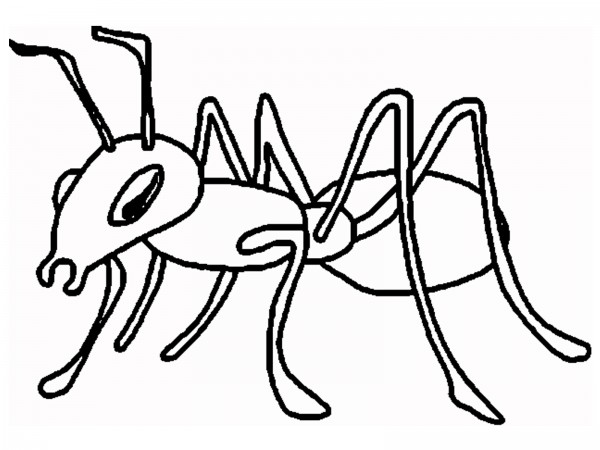 Ant Cartoon Printable Ants HvagQ - Coloring Pages For Kids